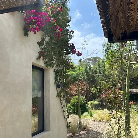 Can Serenico Ibiza *